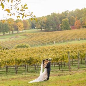 Cathedral length Wedding veil